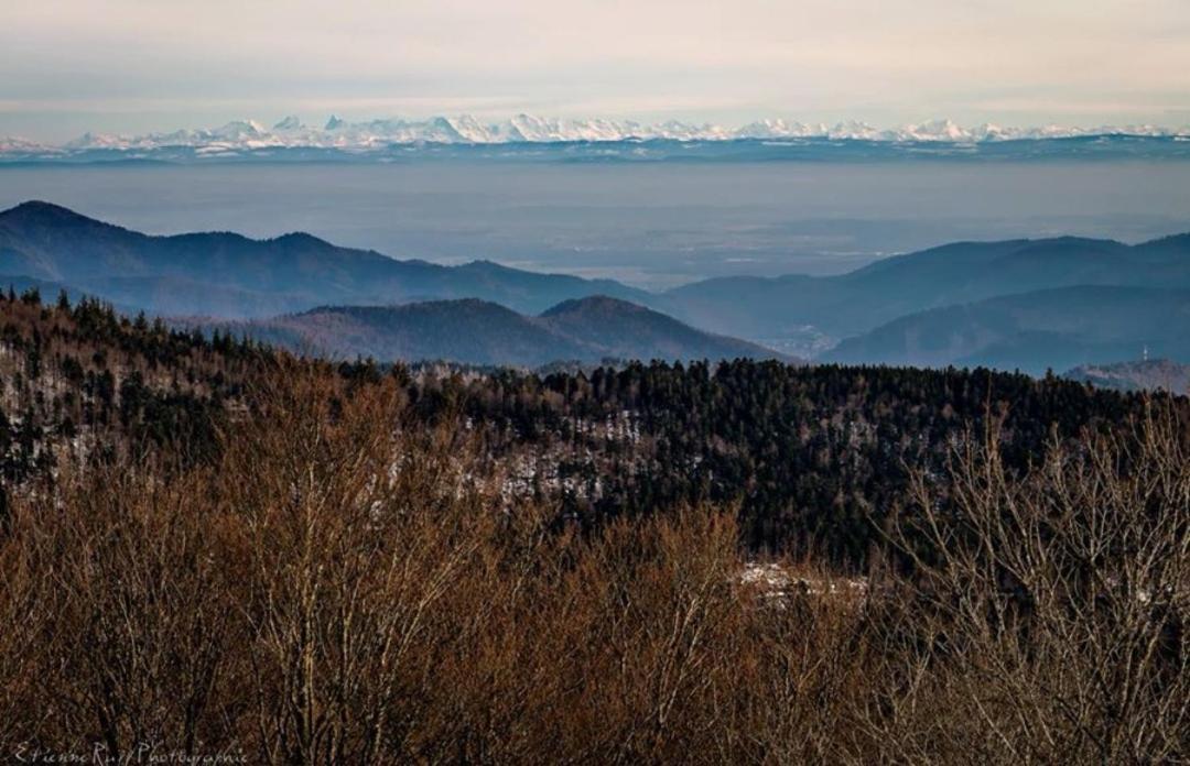 Appartamento Relais Des Vosges Husseren-Wesserling Esterno foto