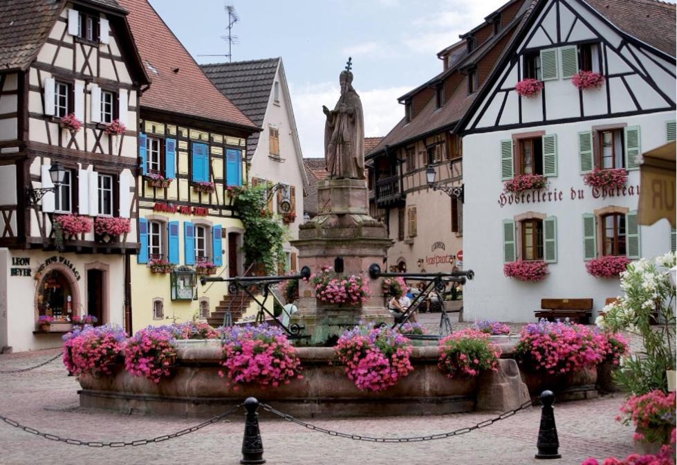 Appartamento Relais Des Vosges Husseren-Wesserling Esterno foto